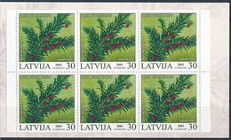 Latvia, Mi 588 ** MNH, Markenheft, Booklet / Plant, Common Yew, Taxus Baccata / PHILATELIA Cologne 2003 - Plantas Tóxicas