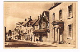 UK-3829  PAINSWICK : New Street - Other & Unclassified