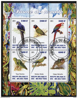 HB FAUNA   ///  (C031)  FAUNA  -  AVES - Parrots