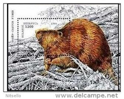 LOTE 1237   ///  BIELORRUSIA  CASTOR ** MNH    ¡¡¡LIQUIDATION!!! - Rongeurs