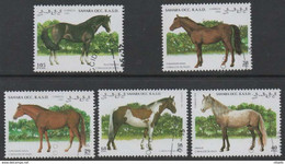 LOTE 1238  ///  (C037) Sahara Occ. 1995  CABALLOS - Chevaux