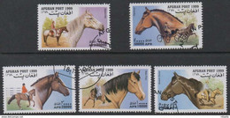 LOTE 1238  ///  (C042) Afghanistan 1999  CABALLOS - Chevaux