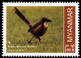 MYANMAR 2022 Mi 540 WHITE-THROATED BABBLER BIRD MINT STAMP ** - Myanmar (Burma 1948-...)