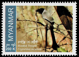 MYANMAR 2022 Mi 541 HODDED TREEPIE BIRD MINT STAMP ** - Myanmar (Burma 1948-...)