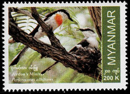 MYANMAR 2022 Mi 542 JERDON'S MINIVET BIRD MINT STAMP ** - Myanmar (Burma 1948-...)