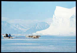 Greenland  Cards  Dog Sled   ( Lot  601 ) - Grönland