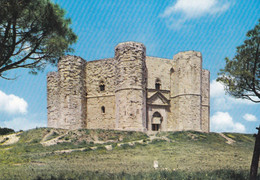 (R667) - CASTEL DEL MONTE (Andria) - Il Castello Svevo (secolo XIII) - Andria