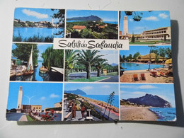 Cartolina Viaggiata "Saluti Da Sabaudia" 1966 - Latina