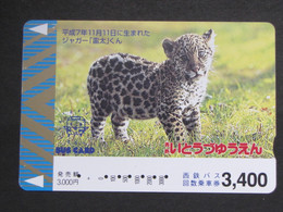 USED Carte Prépayée Japon - Japan Prepaid Card BUS CARD LITTLE ANIMAL - Giungla