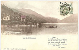 LAC DE WALENSTADT   ( 1 Pli Horizontal ) - Other & Unclassified