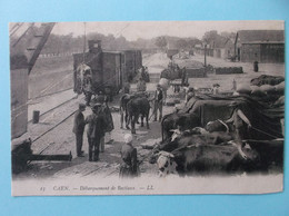 14 : CAEN : DEBARQUEMENT Des BESTIAUX  , Animé ,carte En Bon état - Fairs