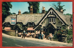 Shanklin, Old Village "The Crab Inn". 1979 Postcard. - Shanklin