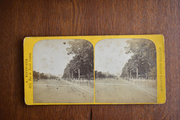 Photo Stereoscopic Stereoscopy - A. Hautecoeur Paris Champs-Élysées - Visionneuses Stéréoscopiques