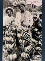 Published By Carmelo Celano- Bananas Field - Honduras