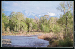 Springtime On The Yellowstone River - Crazy Mountains Presiding Over -Photo Lawrence Dodge 1995 - Other & Unclassified