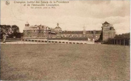 CHAMPLON - Institut Des Soeurs De La Providence Et De L'Immaculée Conception - Vue Générale - Oblit. 1929 - Tenneville