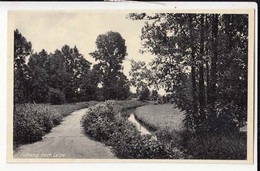 CPA Allemagne - Brandebourg - Luebbenau - Fussweg Nach Leipe : Achat Immédiat - Luebbenau