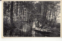 CPA Allemagne - Brandebourg - Luebbenau - Hochwald Bei Altzauche : Achat Immédiat - Luebbenau