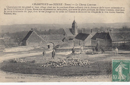 89 - CHAMPIGNY-SUR-YONNE - Beau Plan Animé Du Champ Commun - Eglise - Champigny