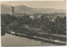 CPSM  Dourgne St Benoit D'en Calcat - Dourgne