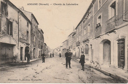 CPA 34   Aniane Chemin De Laboisiére - - Aniane