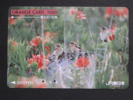 USED Carte Prépayée Japon - Japan Prepaid Card ORANGE Card BIRDS - Uccelli Canterini Ed Arboricoli
