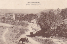 Maroc - Rabat - Ruines Du Chellah - Rabat