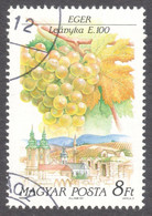 Mosque MINARET Carhedral Church Vineyard City EGER Grape Wine 1990  HUNGARY - Used VÁC Postmark - Mosquées & Synagogues