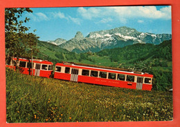 ZUJ-01 Train Vevey-Blonay-Les Pléiades Et Vue Sur Dent De Jaman Et Rochers De Naye. NC GF - Roche