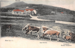 LE DONON-Hotel Velleda-67-Bas-Rhin-Maison Forestière-Forsthaus-Ferme-Vache Edition Schmitt, Schirmeck-Colorée-Colorisée - Autres & Non Classés