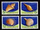 Taiwan 2010 Seashell Stamps (IV) Shell Marine Life Fauna - Ungebraucht