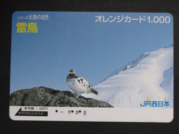 USED Carte Prépayée Japon - Japan Prepaid Card JR Card BIRDS Rock Ptarmigan - Altri & Non Classificati