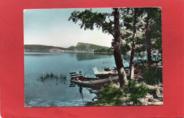 SUISSE----Le Lac De Joux Et La Dent De Vaulion---( Vallée De Joux )--voir 2 Scans - Vaulion