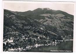 CH-7624  WALCHWIL Am ZUGERSEE : - Walchwil