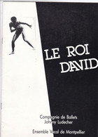 PROGRAMME,,,,,LE ROI  DAVID,,,Cie De  BALLETS  JOHNNY  LUDECHER ,,,, ENSEMBLE VOCAL DE MONTPELLIER,,, TBE,,,,rare - Programme