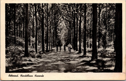 #1910 - Helmond, Wandellaan Warande (NB) - Helmond