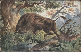 Friedrich Perlberg - The Wild Bull, C.1902 - Tuck's Postcard - Perlberg, F.