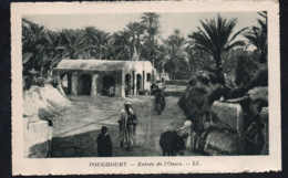 1929  ALGERIE TOUGGOURT ENTREE DE L'OASIS OUARGLA ALGERIA El Djazaïr  الجزائر تقرت - Ouargla