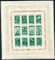 BULGARIA 1953 Alpine And Medicinal Plants Block MNH / **  Michel Block 4 - Neufs