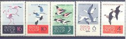 1962.USSR/Russia, Birds, 5v, Mint/** - Ungebraucht