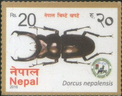 Nepal 2016 Beetles Insects  Dorcus Nepalensis  Stamp MNH - Népal