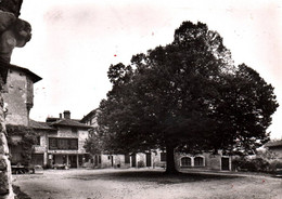 16865 PEROUGES Place De La Halle, Tilleul Cadran Solaire, "Je Ne Marquerai Que L'heure Des Beaux Jours "( 2 Scans)01 Ain - Pérouges