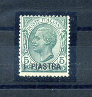 1921 COSTANTINOPOLI N.28 *, 5° Emissione Locale, 1 Piastra Su 5 Centesimi Verde - Uffici D'Europa E D'Asia