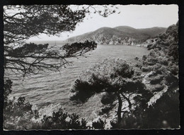 83 CAVALAIRE-Sur-MER Var Corniche Des Maures Plage De Bon-Porteau 1955 - Cavalaire-sur-Mer