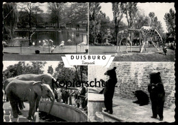 ÄLTERE POSTKARTE DUISBURG TIERPARK ZOO BÄR FLAMINGO GIRAFFE ELEFANTEN ELEFANT JARDIN ZOOLOGIQUE PARQUE ELEPHANT Tusker - Giraffe