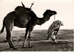 COLLECTION SAHARIENNE L'HEURE DE LA PRIERE - Western Sahara