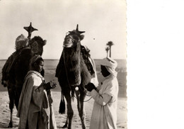 COLLECTION SAHARIENNE FUMONS UNE CIGARETTE - Westelijke Sahara