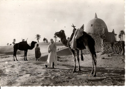 COLLECTION SAHARIENNE ETAPE AU MARABOUT - Sahara Occidentale