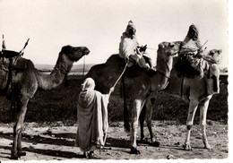 COLLECTION SAHARIENNE LES REKKAS S'APPRETENT POUR UNE LONGUE ETAPE - Westsahara