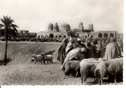 COLLECTION SAHARIENNE MARCHE DANS LE SUD - Westsahara